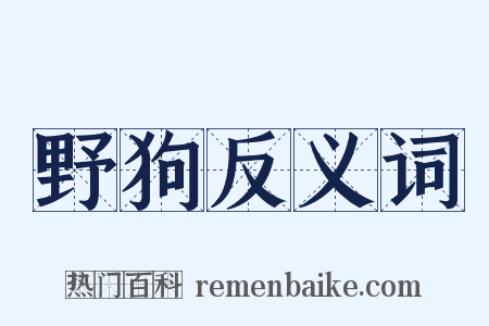 野狗反义词是什么意思的图片